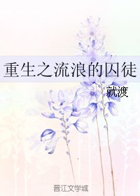 重生之流浪的囚徒