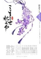 三生三世枕上書(終篇)